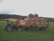 T 665 pepravnk balk 